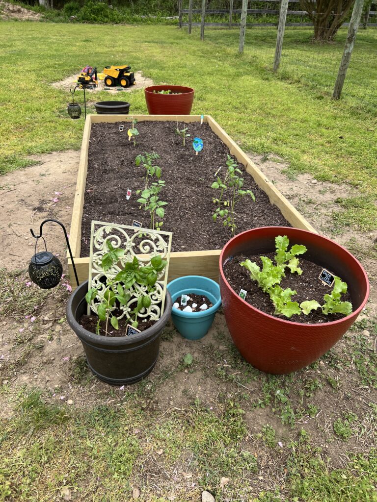 Finished garden on Earth Day for vegetables.