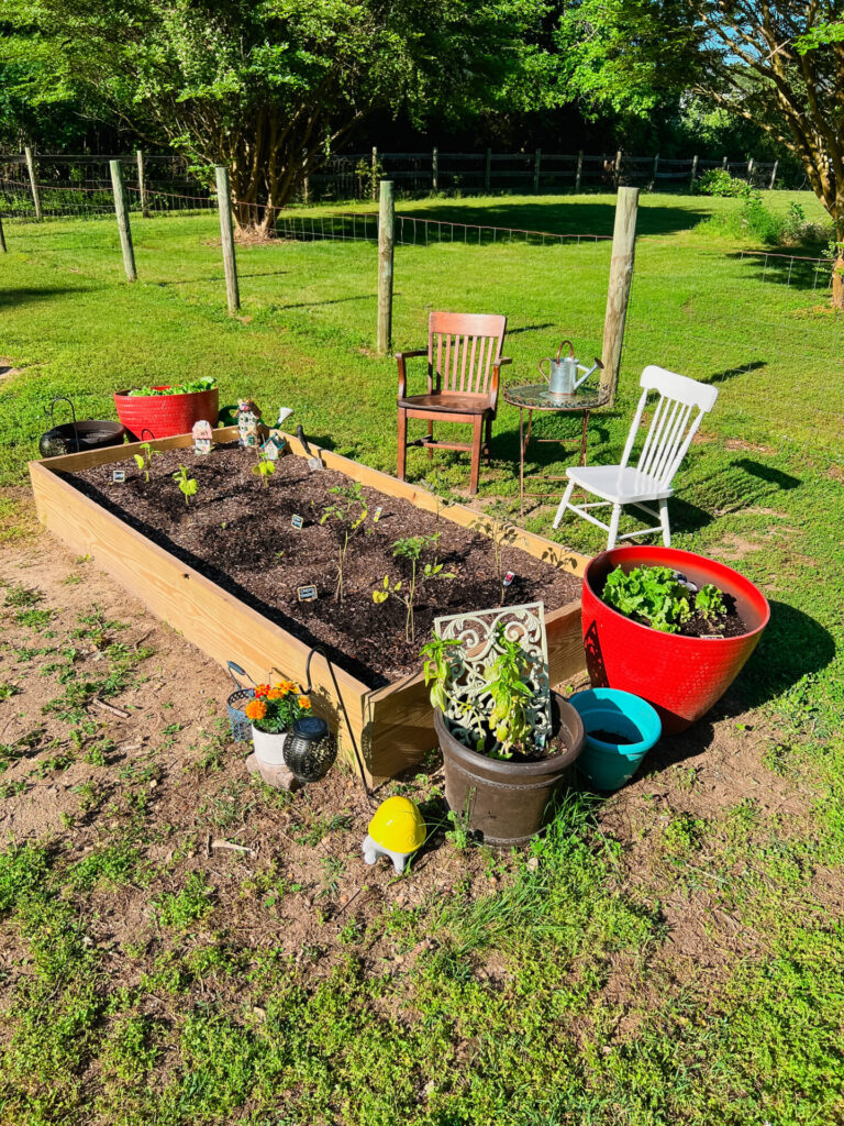 Outdoor Vegetable Garden View