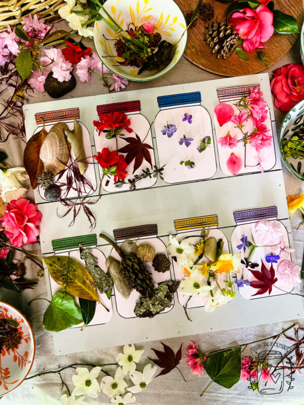 A variety of colorful items found in nature are organized by color using mason jar paper template.