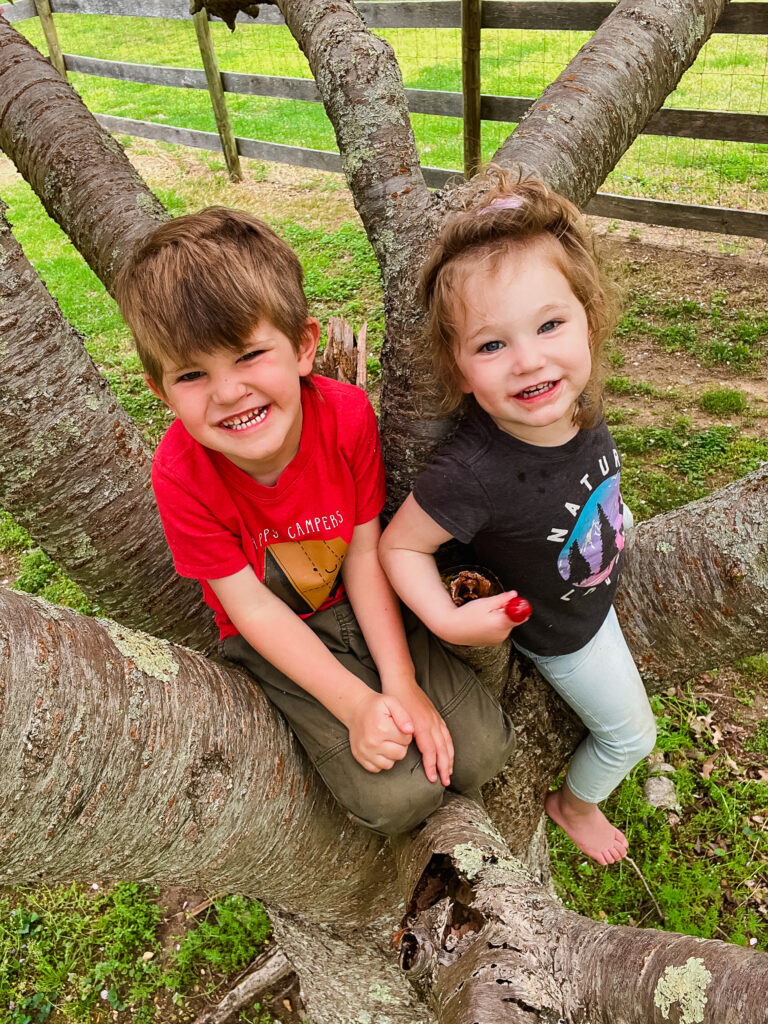 A brother and sister smiling and sitting in a tree outside together building strong sibling relationships.