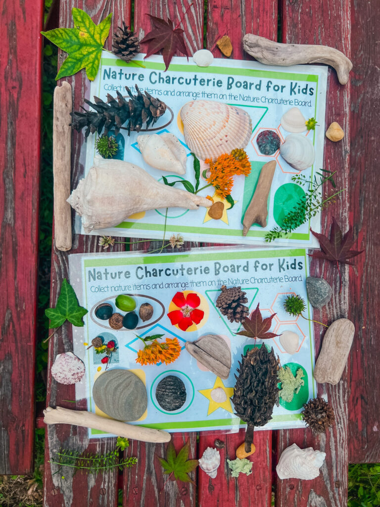 Charcuterie Board for Kids with with an assortment of nature items such as leaves, flowers, rocks, shells, sticks, and more.